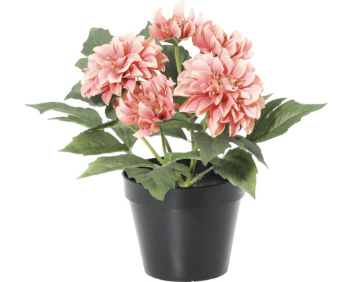 Kunstmatige dahlia met zalmkleurige bloemen en groene bladeren in een zwarte kunststof pot.