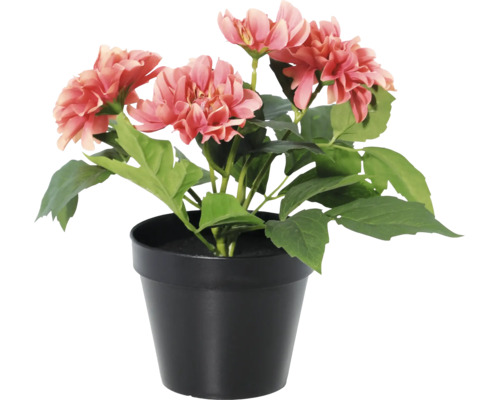 Kunstmatige dahlia in een zwarte pot met zalmkleurige bloemen en groene bladeren.