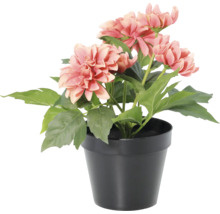 Kunstmatige dahlia in zwarte pot met roze bloemen en groene bladeren.