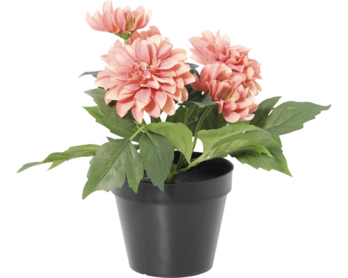 Kunstmatige dahlia in zwarte kunststof pot met zalmkleurige bloemen en groene bladeren.