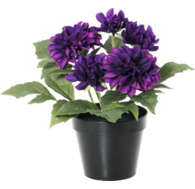Kunstmatige dahlia in zwarte pot met paarse bloemen en groene bladeren.