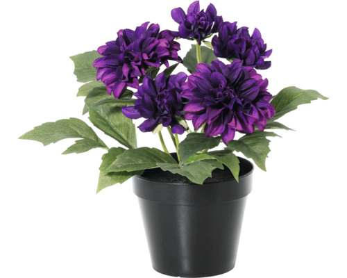 Kunstmatige dahlia in zwarte pot met paarse bloemen en groene bladeren.