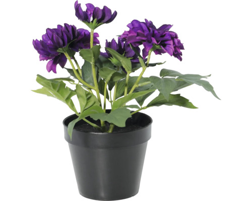 Kunstmatige dahlia in zwarte kunststof pot met paarse bloemen en groene bladeren voor binnenshuis.