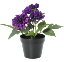 Kunstmatige paarse dahlia in een zwarte kunststof pot met groene bladeren.
