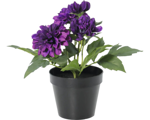 Kunstmatige paarse dahlia in een zwarte kunststof pot met groene bladeren.