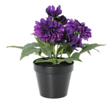 Kunst dahlia in zwarte kunststof pot met paarse bloemen en groene bladeren.