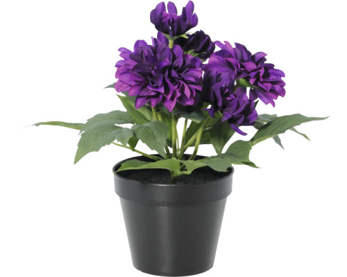 Kunst dahlia in zwarte kunststof pot met paarse bloemen en groene bladeren.