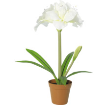 Kunstamaryllis met witte bloemen en groene bladeren in pot.