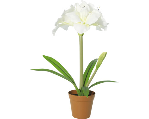 Kunstamaryllis met witte bloemen en groene bladeren in pot.