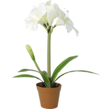 Kunst Amaryllis met witte bloemen in kunststof pot.