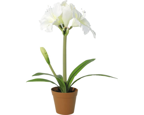 Kunst Amaryllis met witte bloemen in kunststof pot.