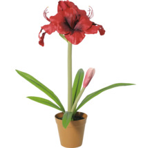 Kunstplant Amaryllis met rode bloem en knop in bruine pot.