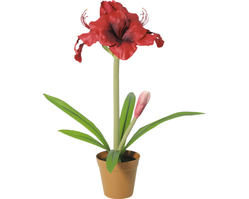 Kunstplant Amaryllis met rode bloem en knop in bruine pot.