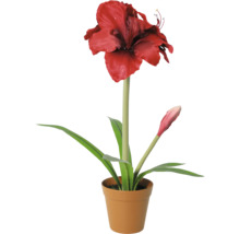 Kunstamaryllis met één rode bloem en één knop in een pot.
