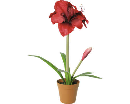 Kunstamaryllis met één rode bloem en één knop in een pot.