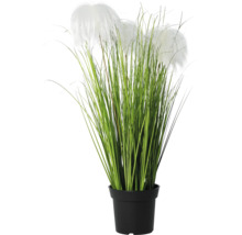 Kunstgras met witte pluimen in zwarte pot.