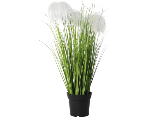 Kunstgras met witte pluimen in zwarte pot.