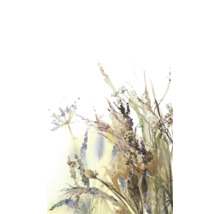 Aquarelillustratie van wilde bloemen en grassen.