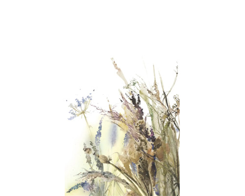 Aquarelillustratie van wilde bloemen en grassen.