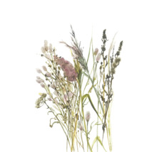 Wanddecoratie met aquarelillustratie van verschillende wilde bloemen en grassen.