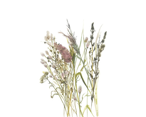 Wanddecoratie met aquarelillustratie van verschillende wilde bloemen en grassen.
