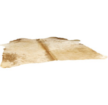 Koeienhuid vloerkleed van echt natuurvacht met onregelmatige vorm.