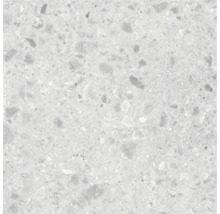 Keramische tegel met terrazzo-look en steeninsluitsels voor vloer en wand.