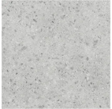 Detailopname van een tegeloppervlak met een gespikkeld terrazzo steeneffect.