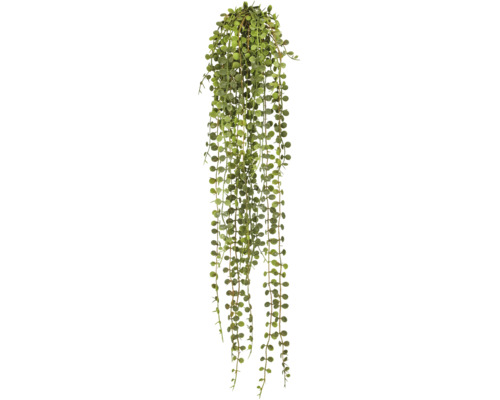 Kunstmatige hangplant Senecio met vele lange ranken en kleine, ovale bladeren.