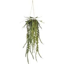 Kunstmatige hangplant met gekartelde bladeren in zwarte pot en koordophanging.