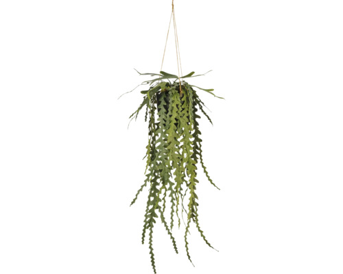 Kunstmatige hangplant met gekartelde bladeren in zwarte pot en koordophanging.