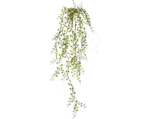 Kunsthangplant met lange, hangende ranken en kleine, ronde bladeren.