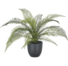Kunstplant in zwarte pot met waaiervormige groene bladeren voor binnendecoratie.