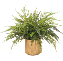 Kunstvaren met groene bladeren in een beige gevlochten pot.