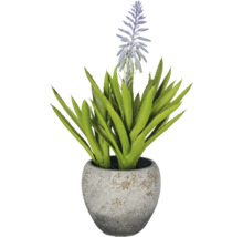 Kunstmatige succulent in een ronde grijze pot met paarse bloem.