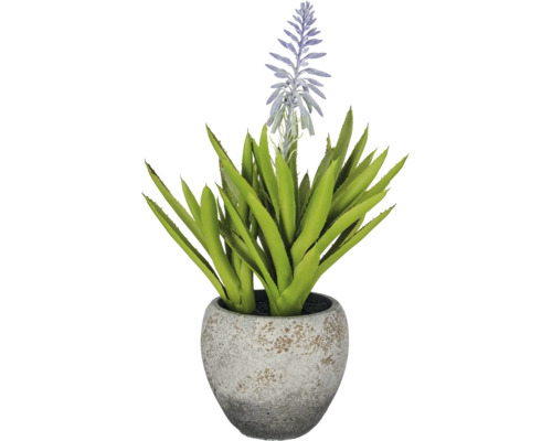 Kunstmatige succulent in een ronde grijze pot met paarse bloem.