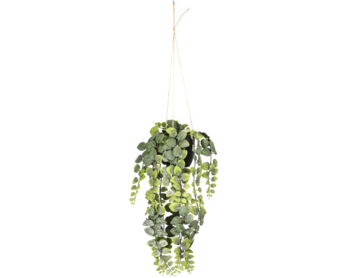 Kunsthangplant in zwarte pot met ophanging van jute touw.