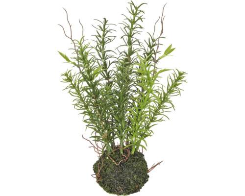 Kunstmatige rozemarijnplant in een mosbal voor interieurdecoratie.