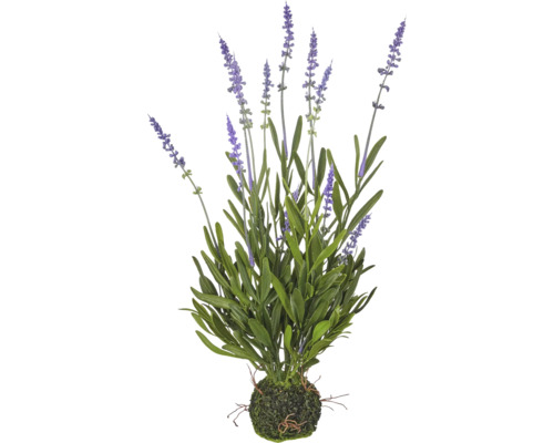 Kunstlavendel met paarse bloemen en groene bladeren in een mosbal.