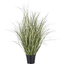 Kunstmatig siergras in een zwarte pot met gestreepte bladeren voor interieurdecoratie.