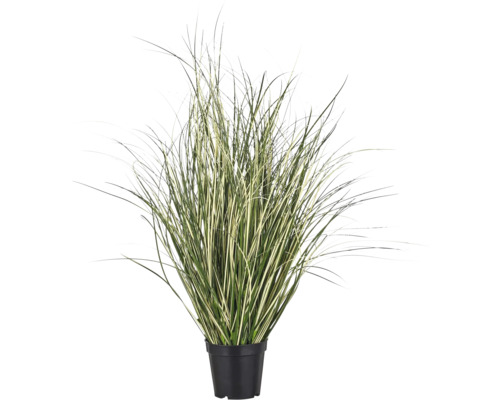 Kunstmatig siergras in een zwarte pot met gestreepte bladeren voor interieurdecoratie.