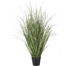 Kunstmatig siergras met wit-groene bladeren in een zwarte pot.