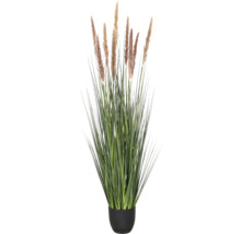 Kunstpampasgras in zwarte pot met lange groene sprieten en beige pluimen.