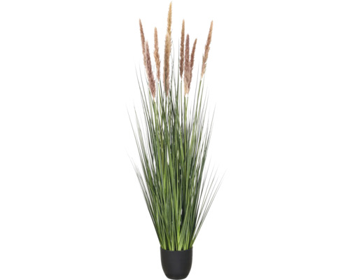Kunstpampasgras in zwarte pot met lange groene sprieten en beige pluimen.