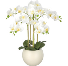 Kunstorchidee Phalaenopsis in ronde crèmekleurige pot, met witte bloemen en groene bladeren.