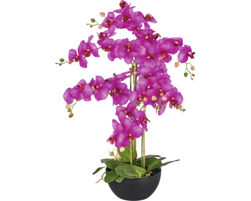 Kunstorchidee Phalaenopsis in zwarte pot met veel bloemen en knoppen.