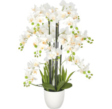 Kunstorchidee Phalaenopsis in witte pot met veel bloemen, knoppen en groene bladeren.