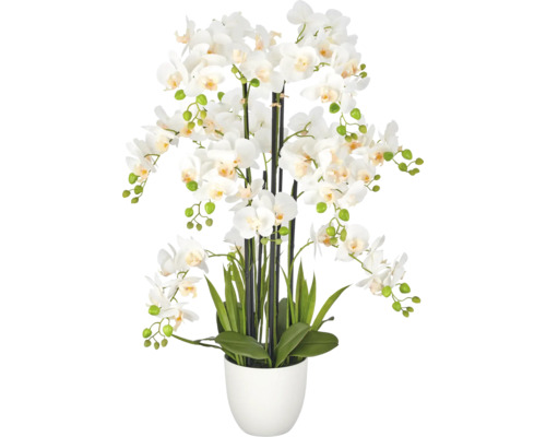 Kunstorchidee Phalaenopsis in witte pot met veel bloemen, knoppen en groene bladeren.