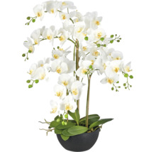 Kunstorchidee Phalaenopsis met witte bloemen en groene bladeren in een donkere schaal.
