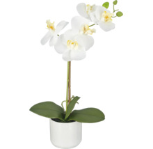 Kunstorchidee Phalaenopsis met witte bloemen en groene bladeren in een witte keramische pot.